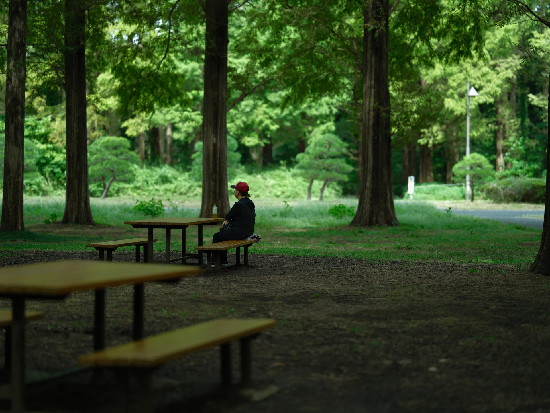 Frame 19