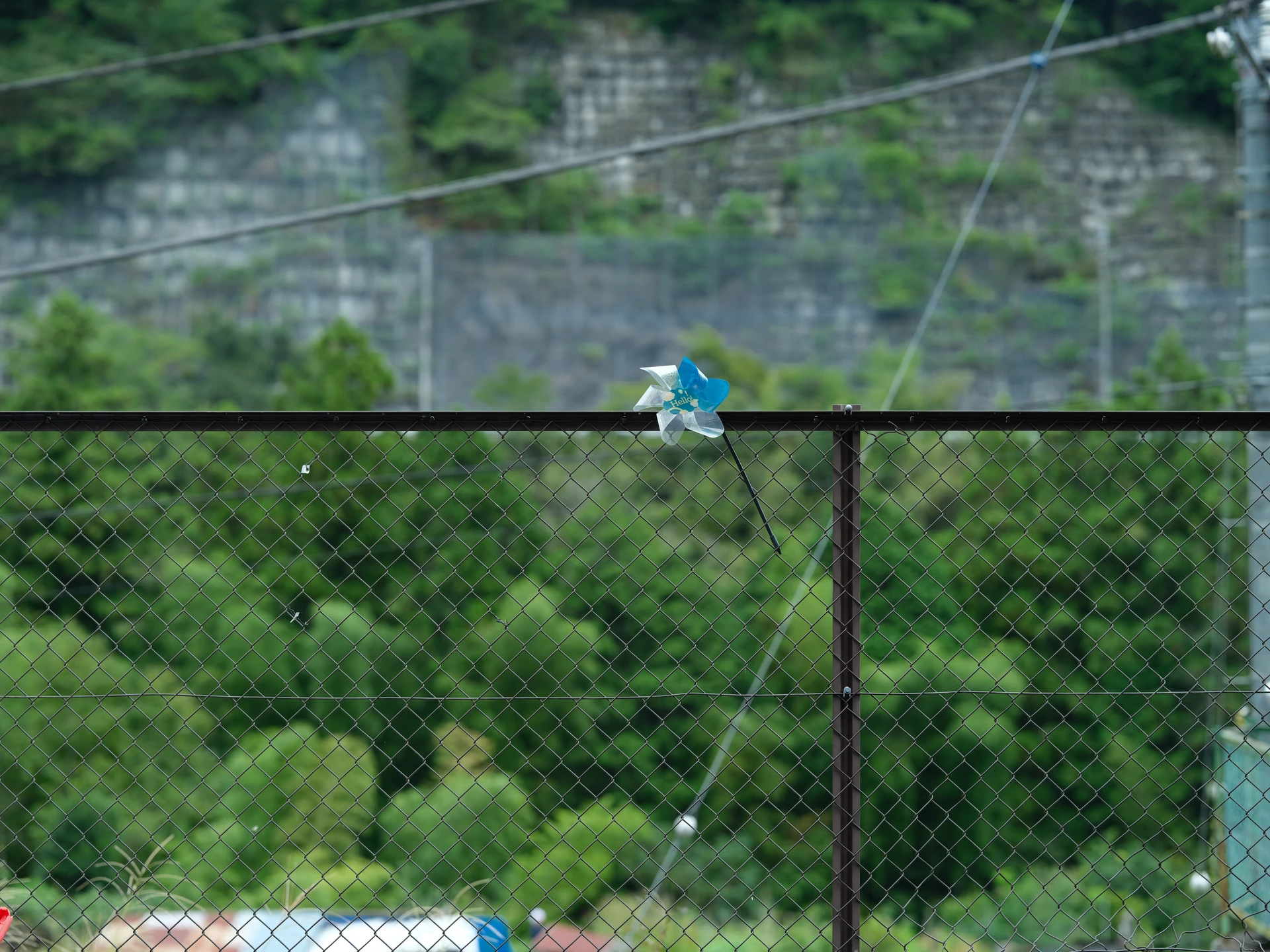 Frame 21